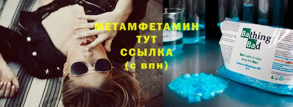 индика Беломорск