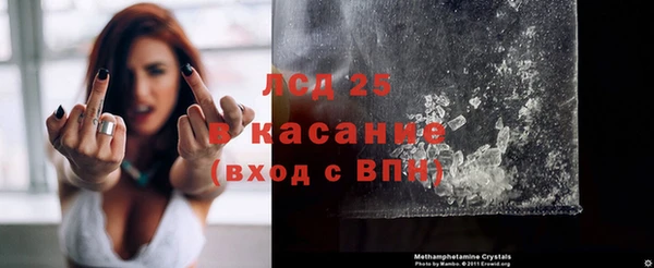 индика Беломорск