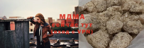 индика Беломорск