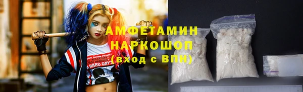 индика Беломорск