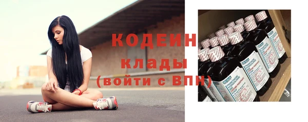 индика Беломорск