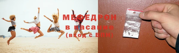 индика Беломорск