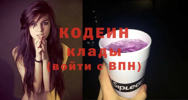 соль ск Белокуриха