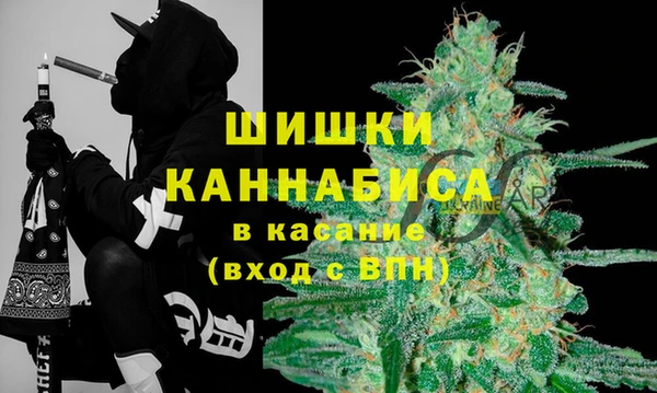 индика Беломорск