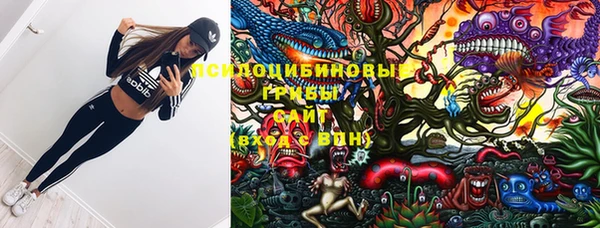 соль ск Белокуриха