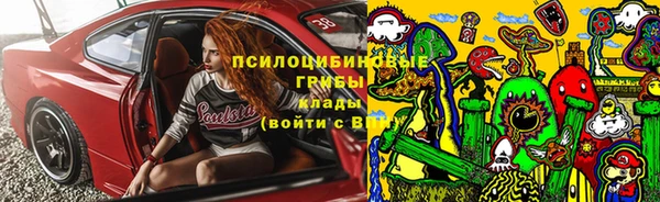 соль ск Белокуриха
