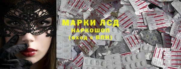 соль ск Белокуриха