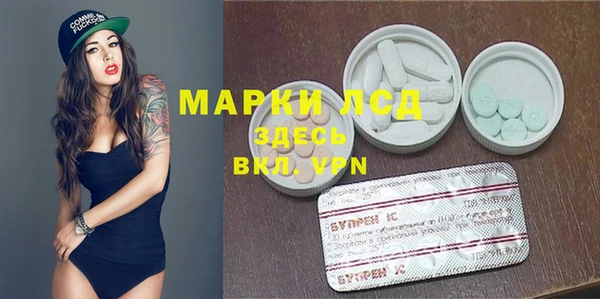индика Беломорск