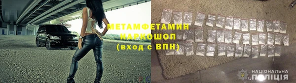 индика Беломорск