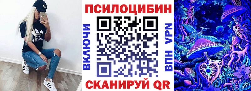 OMG вход где купить Бугульма Галлюциногенные грибы Magic Shrooms